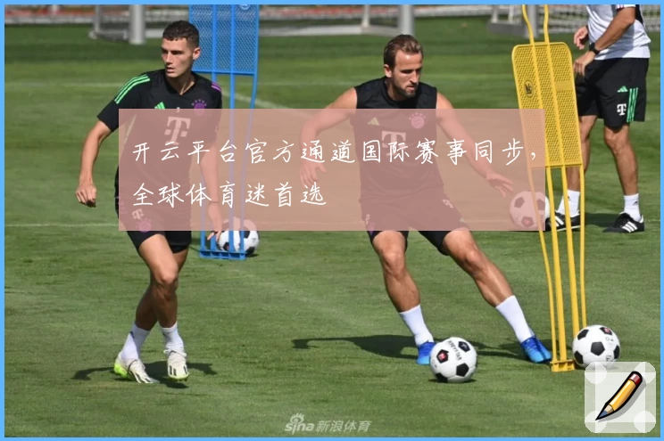 开云平台官方通道国际赛事同步,全球体育迷首选
