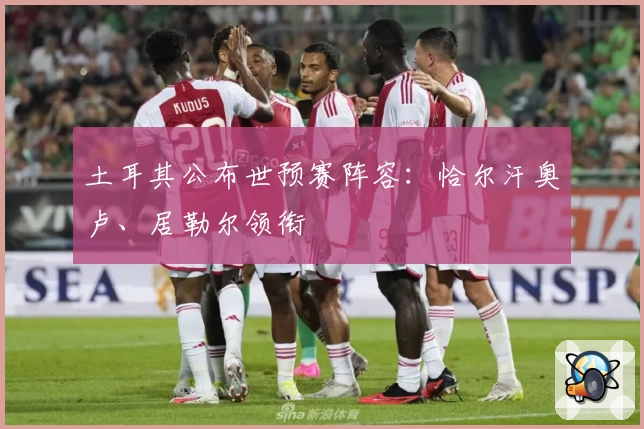 土耳其公布世预赛阵容：恰尔汗奥卢、居勒尔领衔